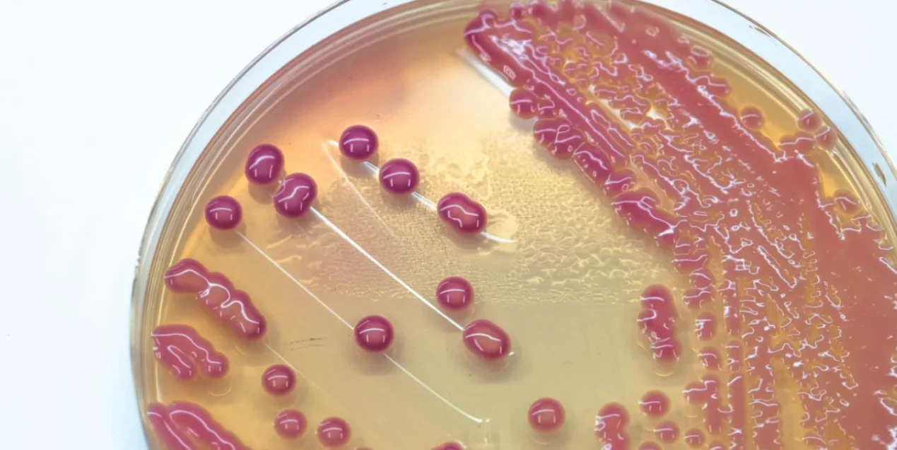 Personalized Medicine