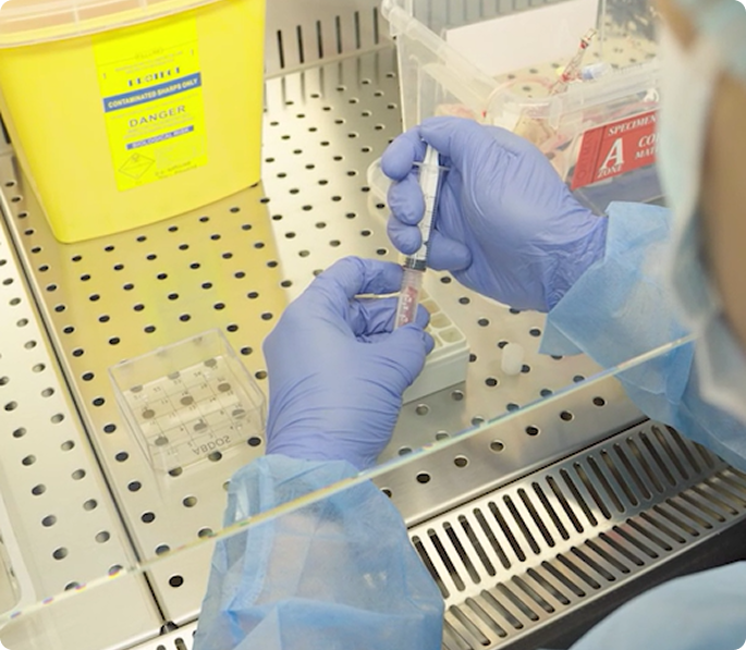 First Stem Cell|Cord Blood Banking in Dubai