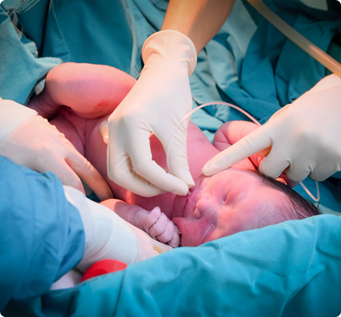 First Stem Cell|Cord Blood Banking in Dubai